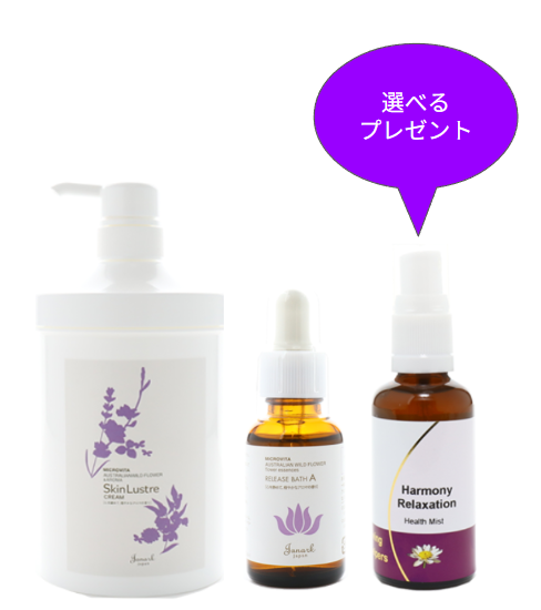 【期間限定】超お得セット